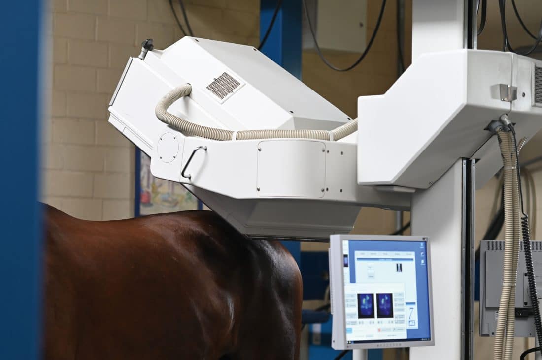 Szintigrafie in der Tierklinik Telgte