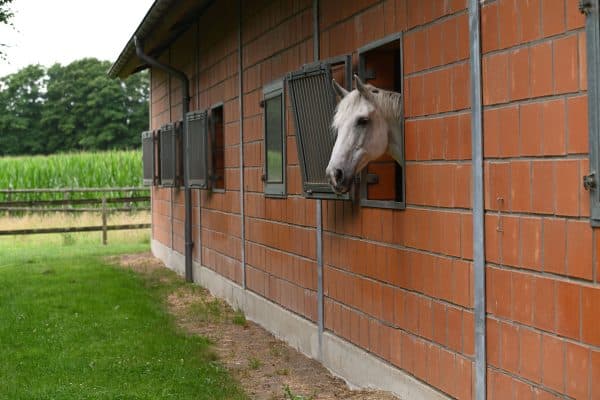 Tierklinik Telgte - nexmed Magazin
